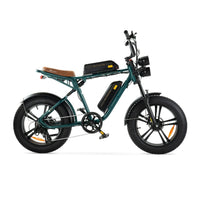 ENGWE M20 - Fatbike - Dubbele Accu - Groen