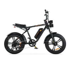 ENGWE M20 - Zwart.