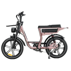 QMWHEEL V20 COMFORT - FATBIKE - ROSÉGOUD.