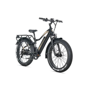 JOBOBIKE Robin Pro - Zwart-goud.