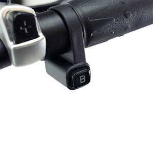 ENGWE EP 2 BOOST - Elektrische Vouwfiets - Zwart.