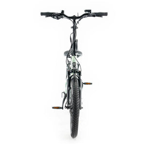 JOBOBIKE Ace Pro - Groen.