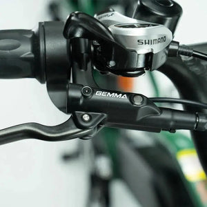 JOBOBIKE Transer - Longtail - Groen.